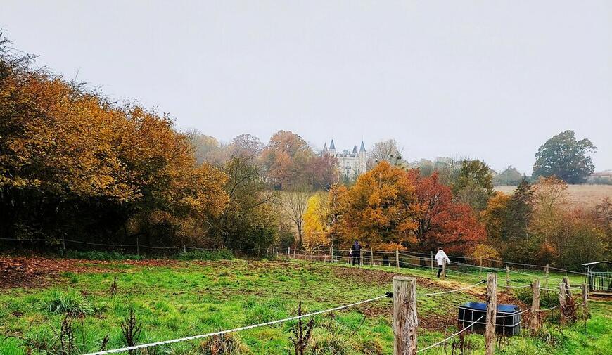 Andrezé Le château de La Morinière Andrezé Le château de La Morinière