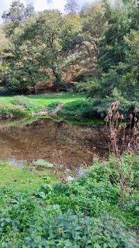 Bord de l'Hyrôme 2 Bord de l'Hyrôme 2